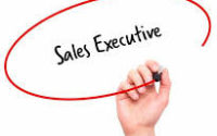 Sales Executive Required