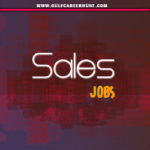 Sales Executive