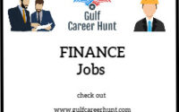 CFO and Finance Manager