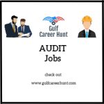 Junior Auditor