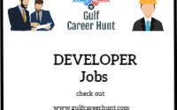 Salesforce Technical Consultant