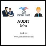 Senior Auditor