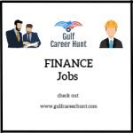 Finance Analyst Accountant