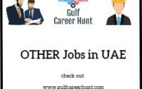 Project Engineer