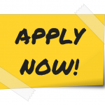 Travel Desk Executive