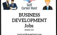 Business Development Executive