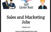 Sales Business Development Executive