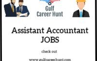 Assistant Accountant
