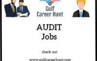 Senior Auditor