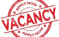 Senior Devops Engineer