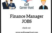 Financial Manager