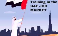 Importance of Education and Training in the UAE Job Market