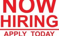 Cleaning Team Leader (Aircraft Cabin)