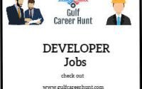Senior Oracle APEX Developer